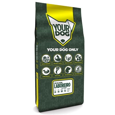 Yourdog cão de castro laboreiro volwassen